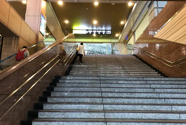 小田原城址公園の写真・動画_image_359958