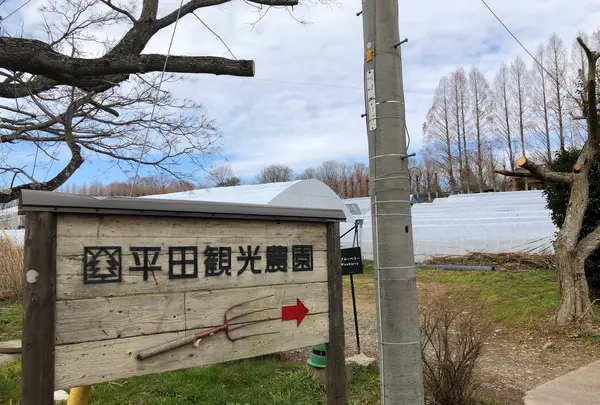 平田観光農園の写真・動画_image_360496