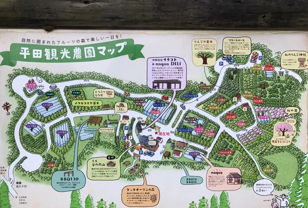 平田観光農園の写真・動画_image_360502