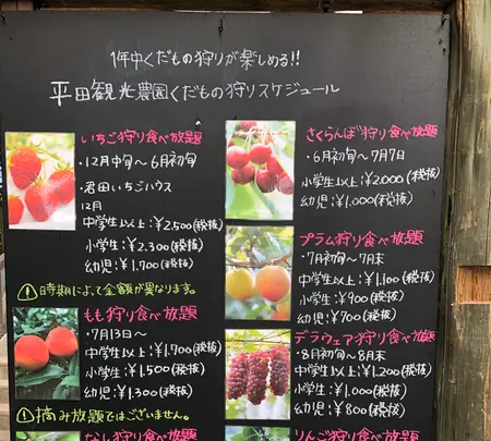 平田観光農園の写真・動画_image_360504