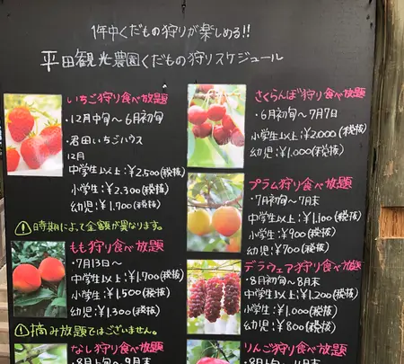 平田観光農園の写真・動画_image_360507