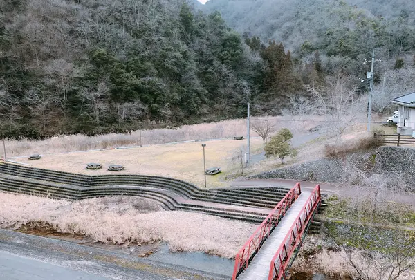 君田温泉 森の泉の写真・動画_image_360594