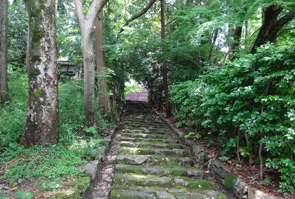 西教寺の写真・動画_image_360633