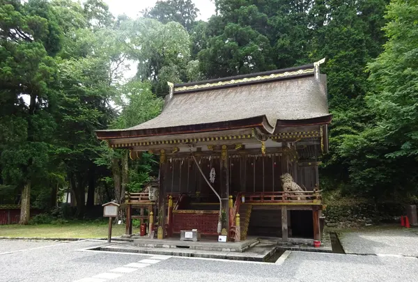 日吉大社 東本宮 本殿の写真・動画_image_360641