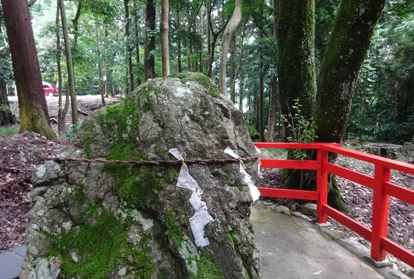 日吉大社 東本宮 本殿の写真・動画_image_360644