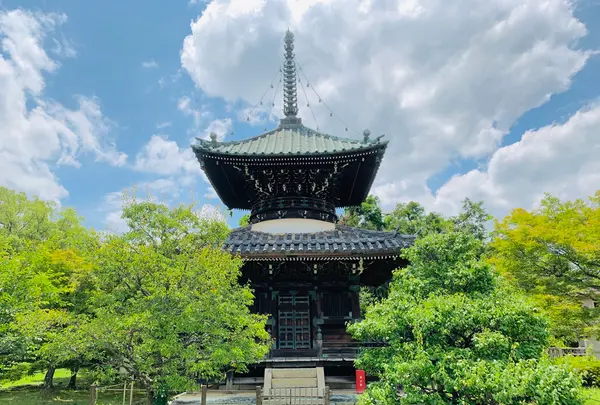 嵯峨釈迦堂（清凉寺）の写真・動画_image_360674