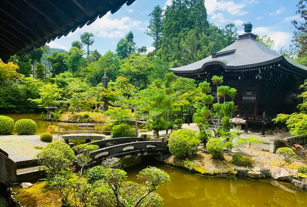 嵯峨釈迦堂（清凉寺）の写真・動画_image_360690