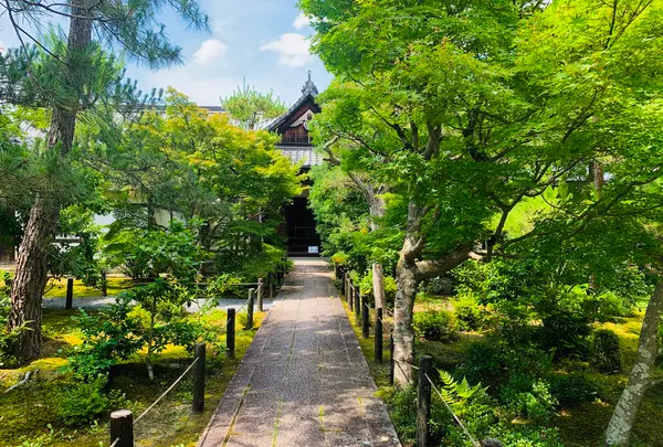 嵯峨釈迦堂（清凉寺）の写真・動画_image_360695