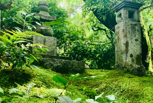 祇王寺の写真・動画_image_360735
