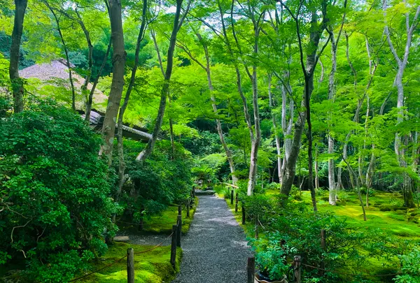 祇王寺の写真・動画_image_360737