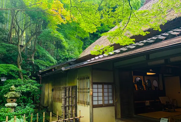 祇王寺の写真・動画_image_360741