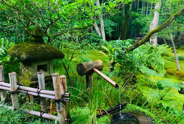 祇王寺の写真・動画_image_360743