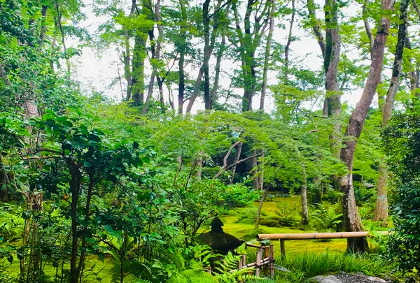 祇王寺の写真・動画_image_360746