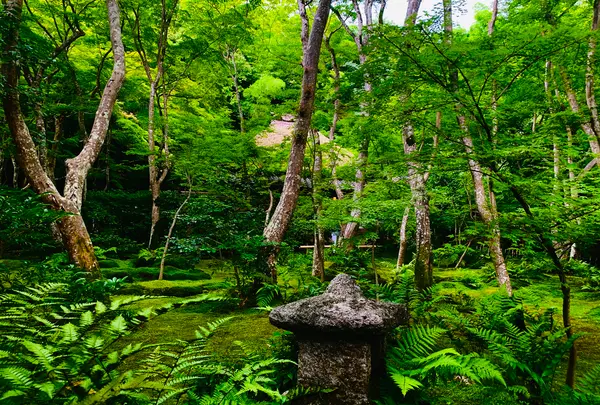 祇王寺の写真・動画_image_360753