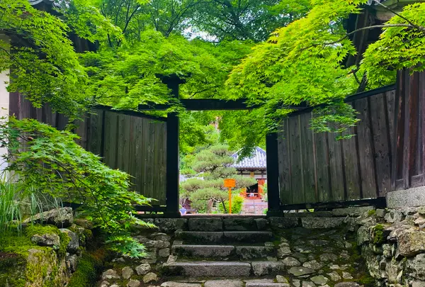 二尊院の写真・動画_image_360759