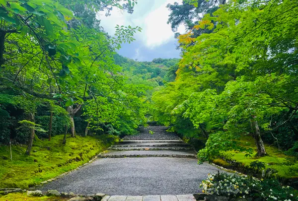 二尊院の写真・動画_image_360761