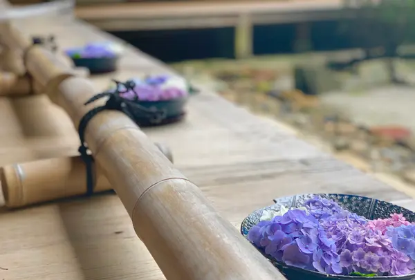 二尊院の写真・動画_image_360762