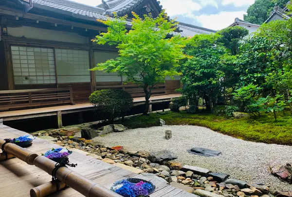 二尊院の写真・動画_image_360764