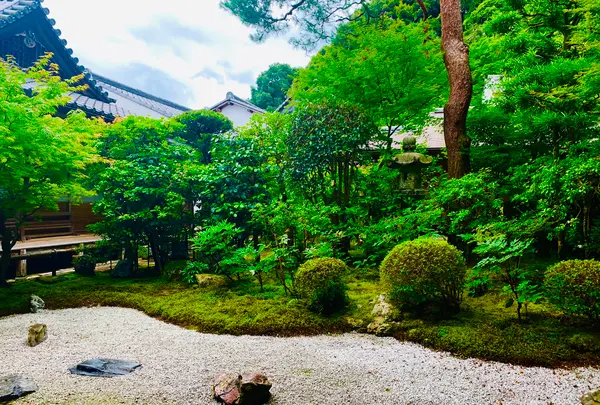 二尊院の写真・動画_image_360765