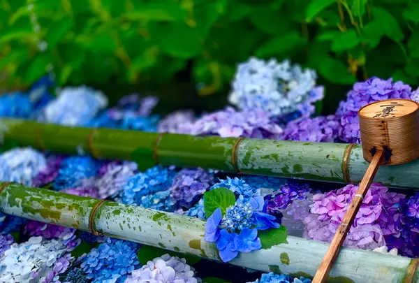 二尊院の写真・動画_image_360767