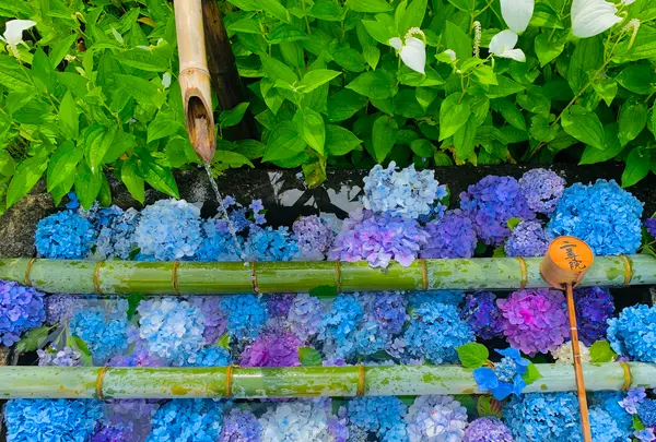 二尊院の写真・動画_image_360768