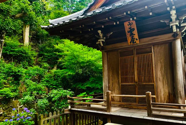 二尊院の写真・動画_image_360770