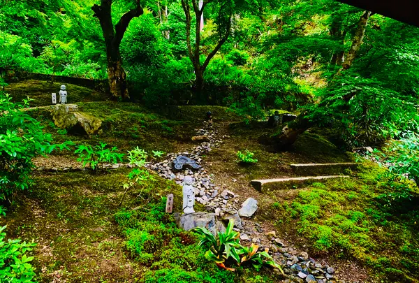 二尊院の写真・動画_image_360771