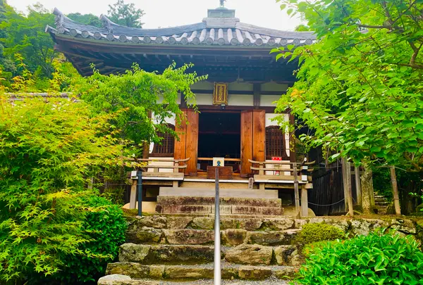 二尊院の写真・動画_image_360772