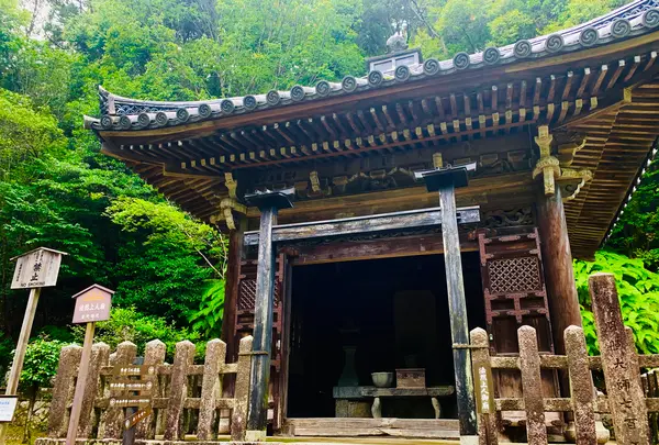 二尊院の写真・動画_image_360774