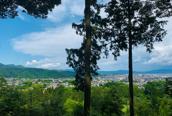 二尊院の写真・動画_image_360777