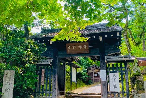 常寂光寺の写真・動画_image_360781