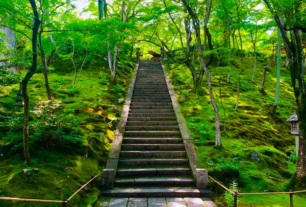 常寂光寺の写真・動画_image_360783