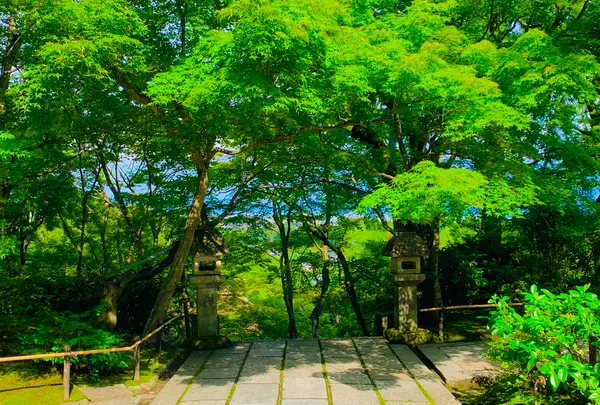 常寂光寺の写真・動画_image_360784