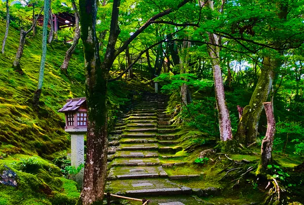 常寂光寺の写真・動画_image_360785