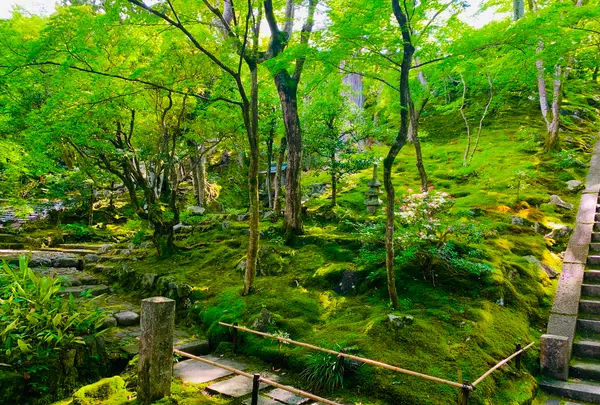 常寂光寺の写真・動画_image_360786