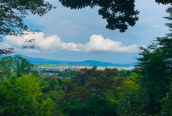 常寂光寺の写真・動画_image_360789