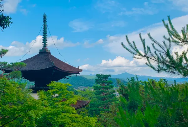 常寂光寺の写真・動画_image_360790