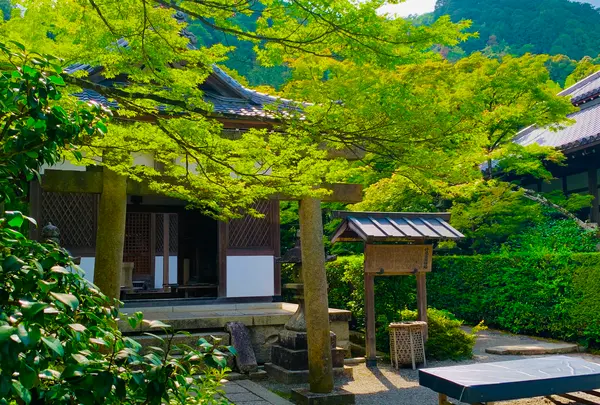 常寂光寺の写真・動画_image_360791