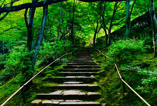 常寂光寺の写真・動画_image_360792