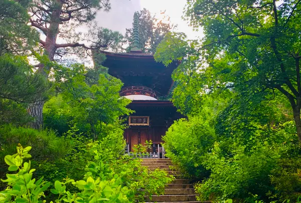 常寂光寺の写真・動画_image_360795