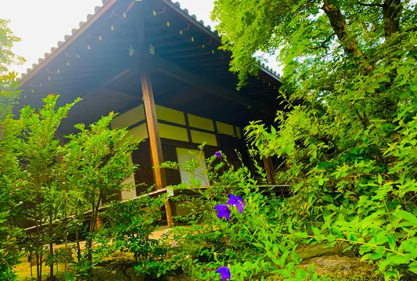 常寂光寺の写真・動画_image_360798