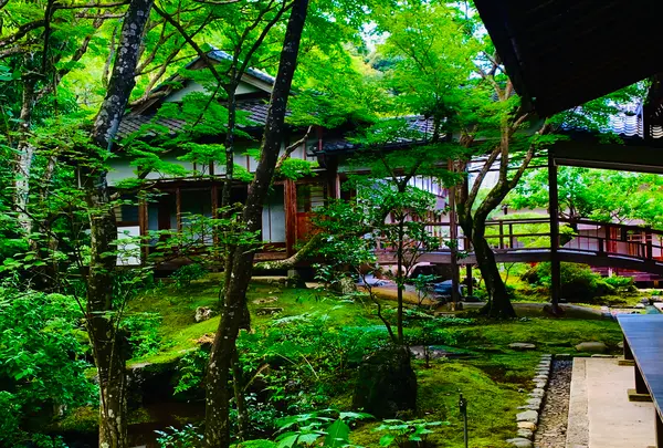 常寂光寺の写真・動画_image_360799