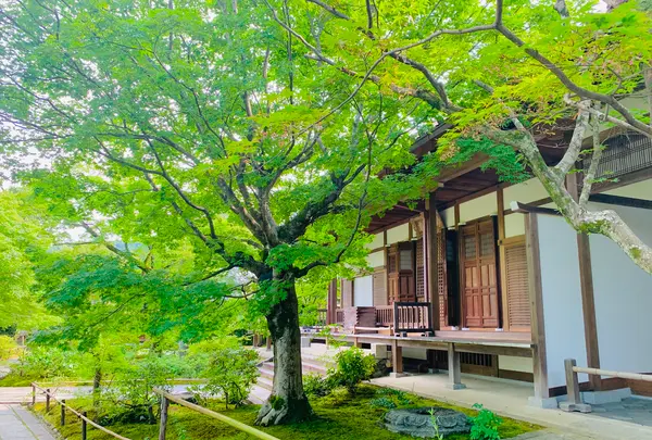 常寂光寺の写真・動画_image_360805