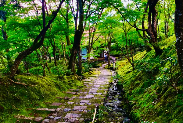 常寂光寺の写真・動画_image_360806