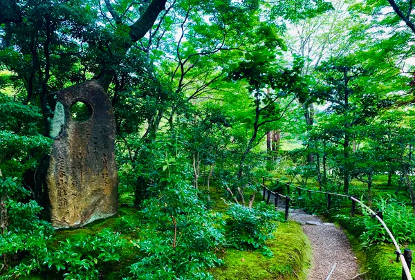常寂光寺の写真・動画_image_360807