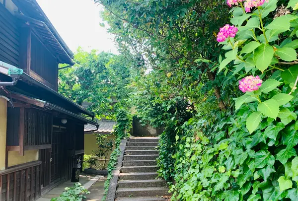 茂庵の写真・動画_image_361297