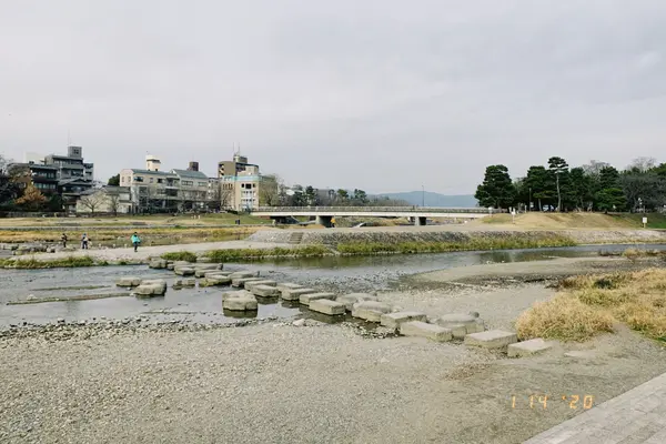 鴨川デルタの写真・動画_image_361713
