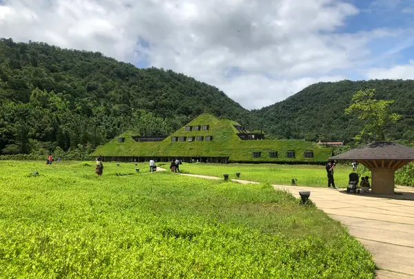 ラコリーナ近江八幡の写真・動画_image_361974