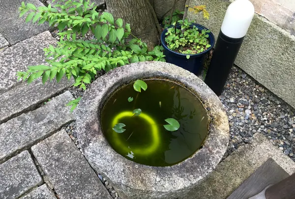 八幡堀の写真・動画_image_361989