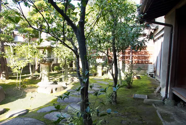 旧松阪家住宅の写真・動画_image_362165